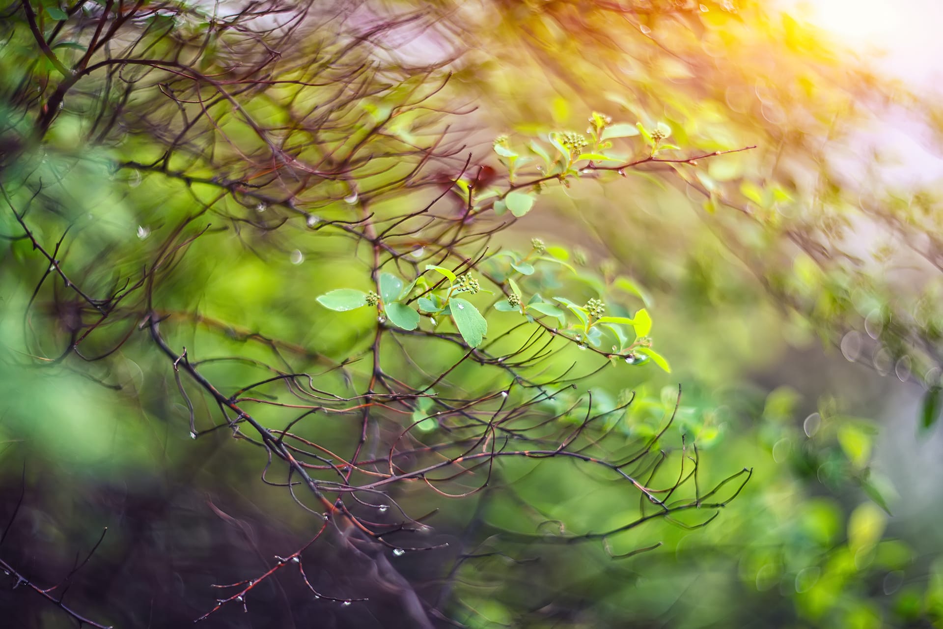 Психотерапия с Танци